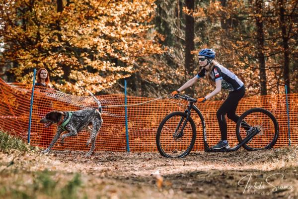 Sali Sport Sled Geschirr Zuggeschirr bikejoering